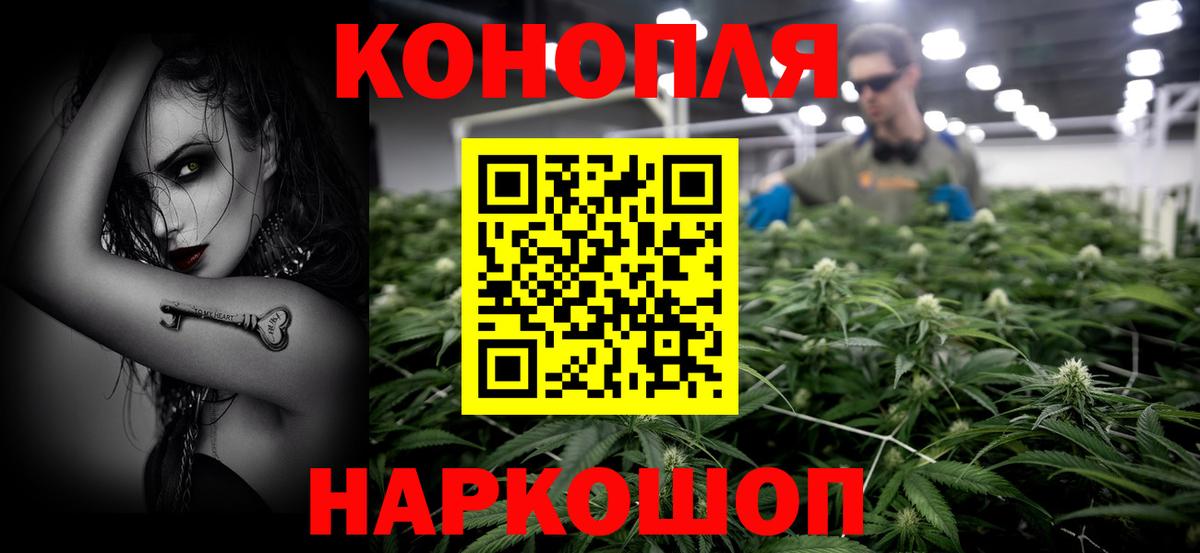 Канабис гибрид Сургут